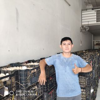 Trứng gà ta ( gà ri )