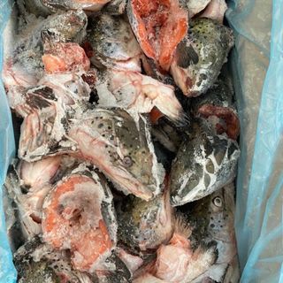 Đầu cá hồi