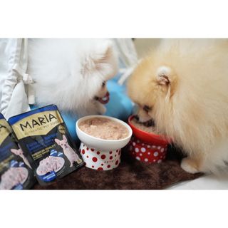pate cho chó Maria (1 hộp 12 gói 70g) - thức ăn cho chó vị thịt bò, thịt gà, cá hồi, cá ngừ