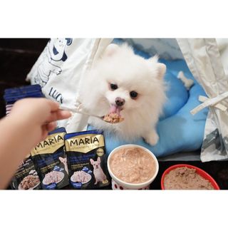 pate cho chó corgi MARIA 70g/gói - thức ăn cho chó vị thịt bò, thịt gà, cá hồi, cá ngừ