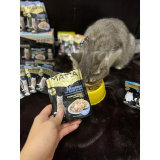 pate cho mèo MARIA (1 hộp 12 gói 70g) - thức ăn cho mèo vị thịt gà, cá hồi, cá thu, mực
