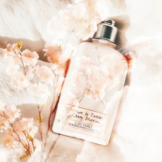 Sữa tắm và sữa dưỡng L’occitane Cherry blosom