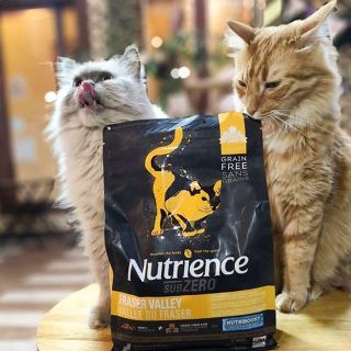 Thức Ăn Hạt Cho Mèo - (Mượt Lông) Nutriene Subzero Bao 2,27kg - 4 Loại Thịt (Gà Tây, Cá Hồi,..) Rau Củ, Trái Cây