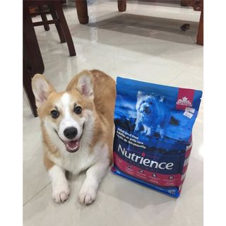 Thức Ăn Cho Chó - Size Nhỏ Trưởng Thành Trên 12 Tháng  Nutrience Infusion Bao 2,27kg - Thịt Gà, Rau Củ, Trái Cây