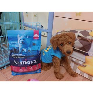 Thức Ăn Cho Chó - Size Nhỏ Trưởng Thành Trên 12 Tháng  Nutrience Infusion Bao 2,27kg - Thịt Gà, Rau Củ, Trái Cây