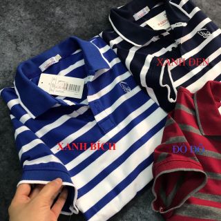 Áo thun Polo nam, áo thun nam Sọc Parpa