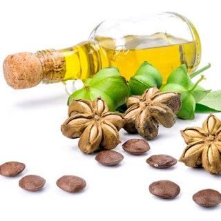 Dầu Sachi 100% ép lạnh nguyên chất giá sỉ tại Tuk Green