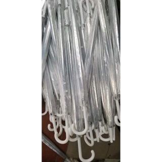 Ô trong suốt phong cách Hàn Quốc Ô Sống Ảo