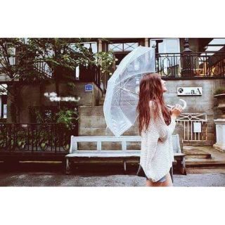 Ô trong suốt phong cách Hàn Quốc Ô Sống Ảo