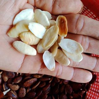 Hạt Kơ Nia rừng Đăk Lăk thơm ngon, béo ngậy