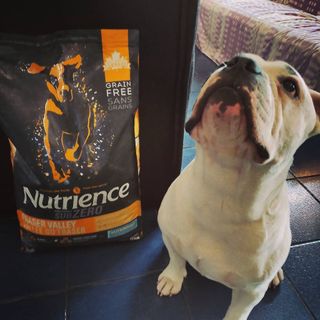 Thức Ăn Hạt Cho Chó - Nutrience Subzero Bao 5kg - 4 Loại Thịt (Gà Tây, Cá Hồi,...) Rau Củ Trái Cây Tự Nhiên