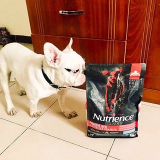 Thức Ăn Hạt Cho Chó - Nutrience Subzero Bao 2,27kg (Da Lông Bóng Mượt) - Thịt Gà Tây, Cá Hồi, Rau Củ Quả, Trái Cây