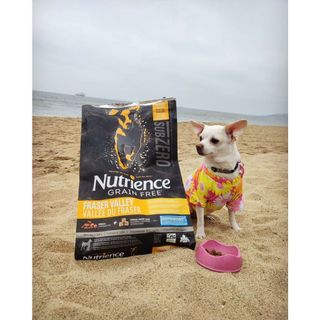 Thức Ăn Cho Chó - Nutrience Subzero Bao 500g Thịt Gà Tây, Cá Hồi, Cá Trích, Cá Tuyết, Trái Cây, Rau Củ & Trái Cây