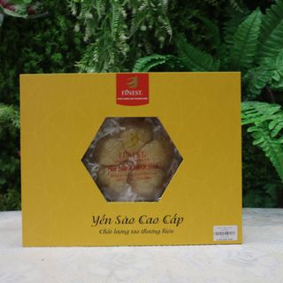Yến tổ Yến Vàng (100gr)
