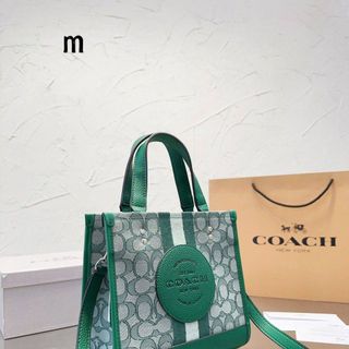 COACH 129813