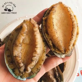 Bào ngư size 8-10-12-14-16-18-20