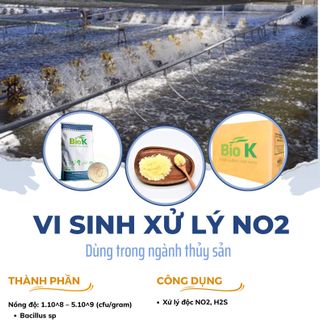 Vi sinh xử lý NO2 ( xử lý khí độc trong ao nuôi, dùng trong ngành thủy sản) giá sỉ