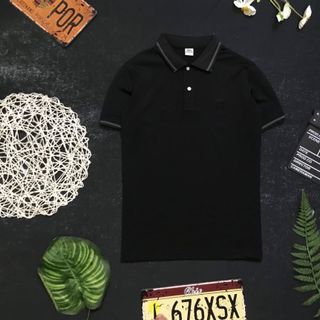 Áo polo cá sấu xịn