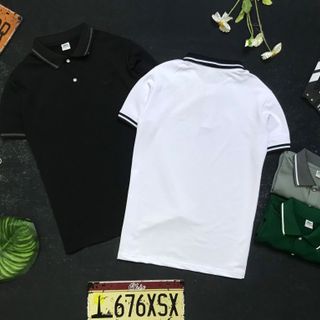 Áo polo cá sấu xịn