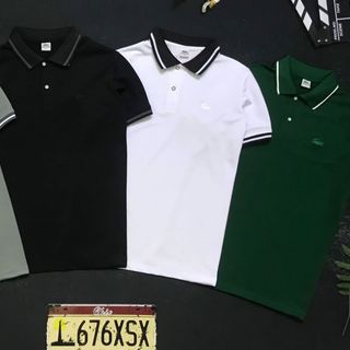 Áo polo cá sấu xịn