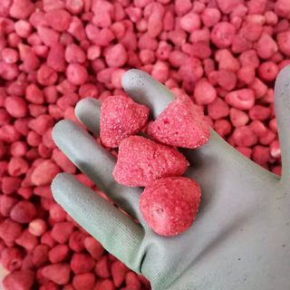 Dâu tây sấy giòn