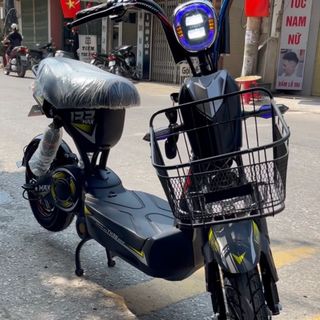Xe đạp điện