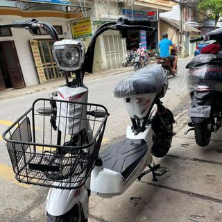 Xe đạp điện