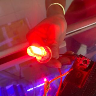 1 cặp LED xinhan nháy F1 - Đủ màu