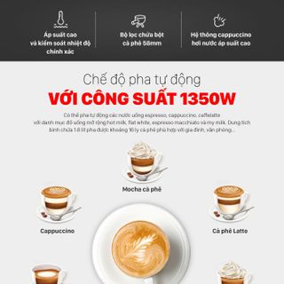 Máy pha cà phê Espresso Roler RC-3213E