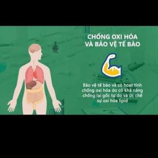 Hộp trà ATISO túi lọc - Hộp 20 túi lọc - PHÙ HỢP GÓI KÈM GIỎ QUÀ TẾT