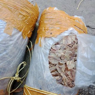 Khô mực đồng tiền