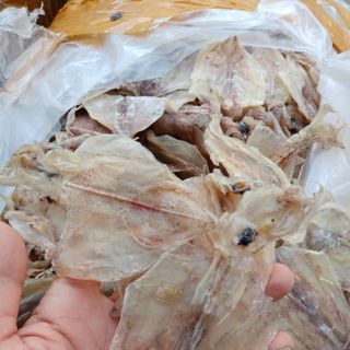 Khô mực đồng tiền