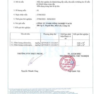 Nấm đông trùng hạ thảo sấy thăng hoa loại gãy 100gr