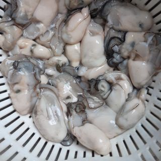 Ruột Hàu Sữa Pháp
