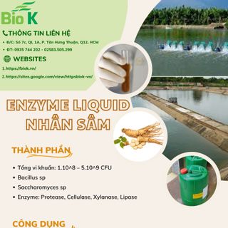 Enzyme liquid nhân sâm BIOK ( gây màu nước, tạo môi trường nước ổn định trong ao nuôi ) giá sỉ