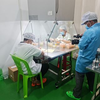 Đông trùng hạ thảo sấy thăng hoa túi loại 1 100gr