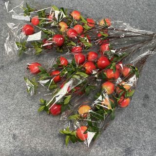 Cành lựu đỏ nhân tạo Hoa giả nhân tạo trang trí phòng hình cành quả lựu đỏ 6 và 7 quả