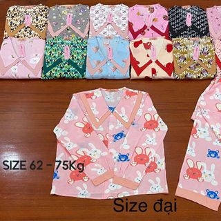 Manggo bigsize tay dài quần dài có túi