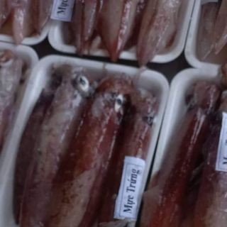 Mực trứng nháy đẹp, size 10-12con/kg bao trứng, bao ngon, bao tươi, giòn.