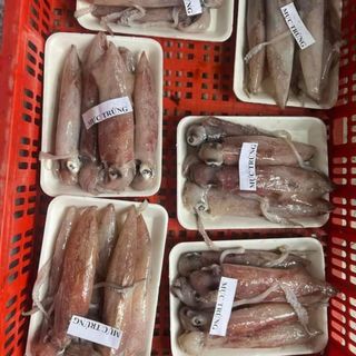 Mực trứng nháy đẹp, size 10-12con/kg bao trứng, bao ngon, bao tươi, giòn.