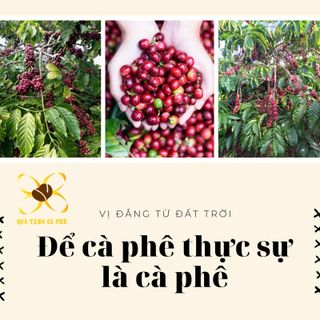 Cà Phê rang xay nguyên chất