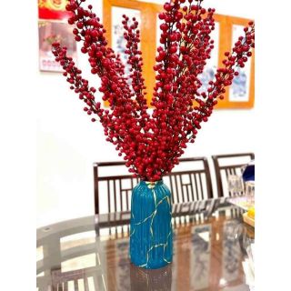 ( HÀNG SẴN SG ) CÂY ĐÀO ĐÔNG ĐỎ SUNG TÚC