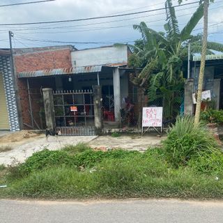 Viên đặt âm đạo COZIN LOVE BEAUTY