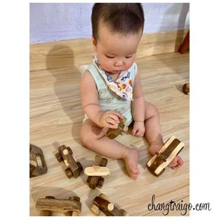 Bộ 8 Phương Tiện Giao Thông - Chàng Trai Gỗ