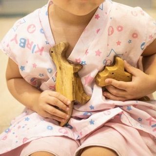 Combo 5 khủng long Đồ Chơi Gỗ Trẻ Em Chàng Trai Gỗ