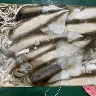 Cá cam size 6-9l giá sỉ 60,cá sapa sỉ 2x,mực indo đài loan sỉ 90