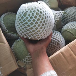 Dưa lưới