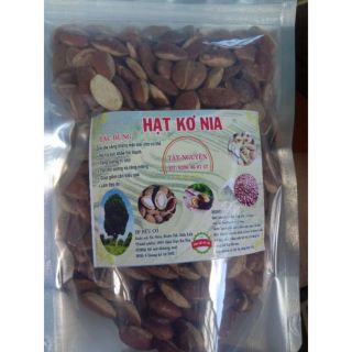 Hạt kơ nia béo ngậy thanh bùi