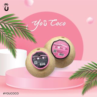 Dừa trái tươi 100% KHÔNG CÓ XUẤT BẢO QUẢN