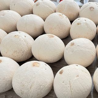 Dừa trái tươi 100% KHÔNG CÓ XUẤT BẢO QUẢN
